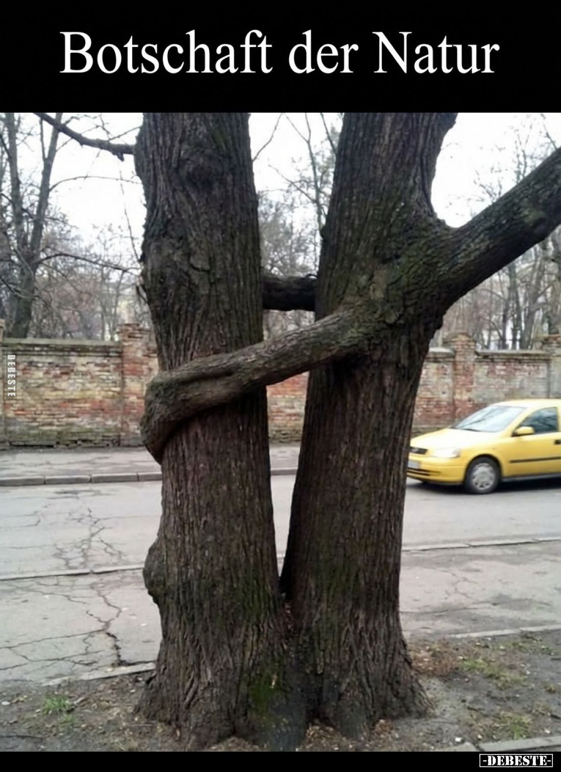 Botschaft der Natur.