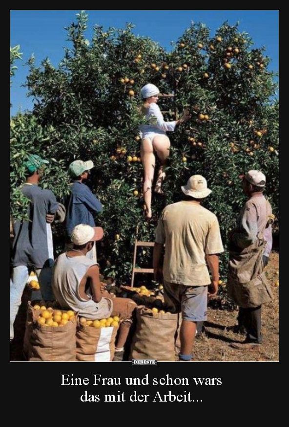 Eine Frau und schon wars das mit der Arbeit...