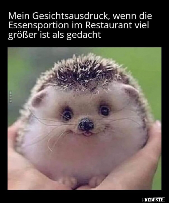 Mein Gesichtsausdruck, wenn die Essensportion im Restaurant.. - Lustige Bilder | DEBESTE.de