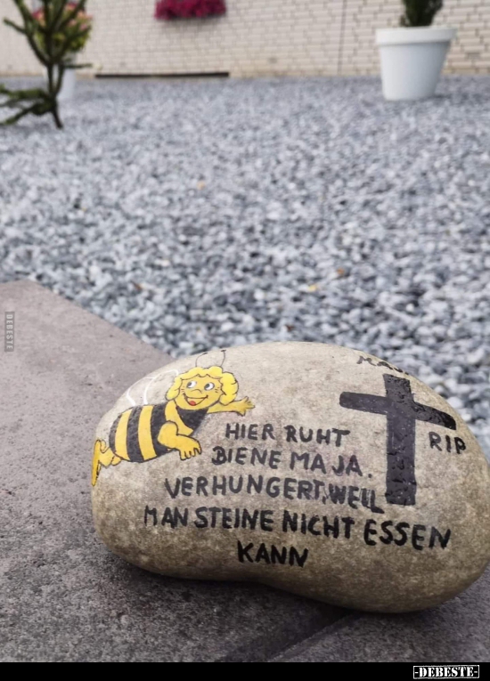 Hier ruht Biene Maja. Verhungert, weil man Steine nicht.. - Lustige Bilder | DEBESTE.de
