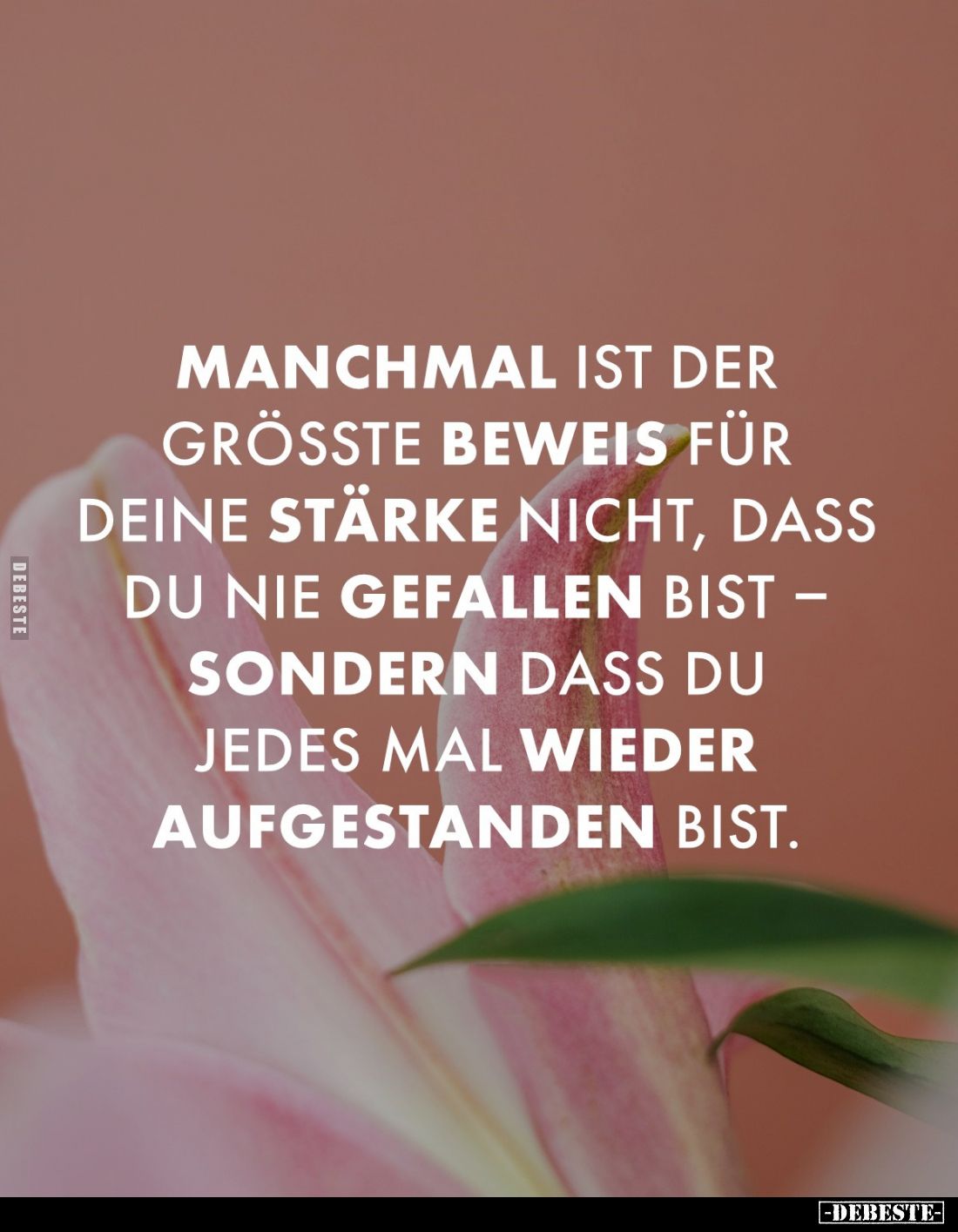 Manchmal ist der größte Beweis für deine Stärke nicht, dass du nie gefallen bist - sondern dass du jedes mal wieder aufgestan...
