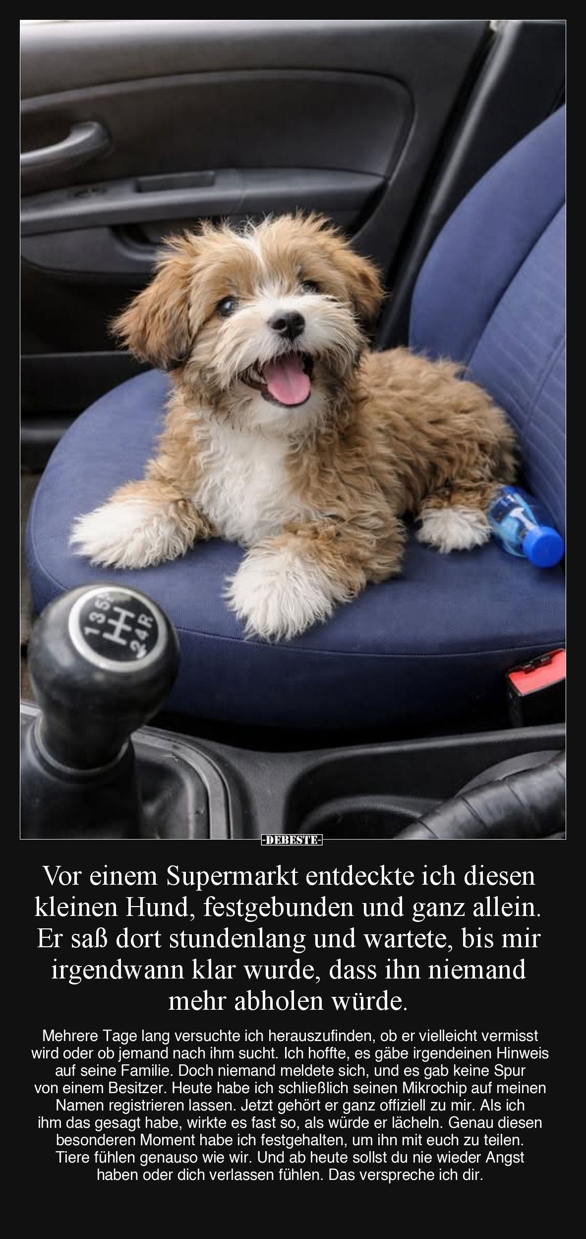 Vor einem Supermarkt entdeckte ich diesen kleinen Hund, festgebunden und ganz allein. Er saß dort stundenlang und wartete, bi...