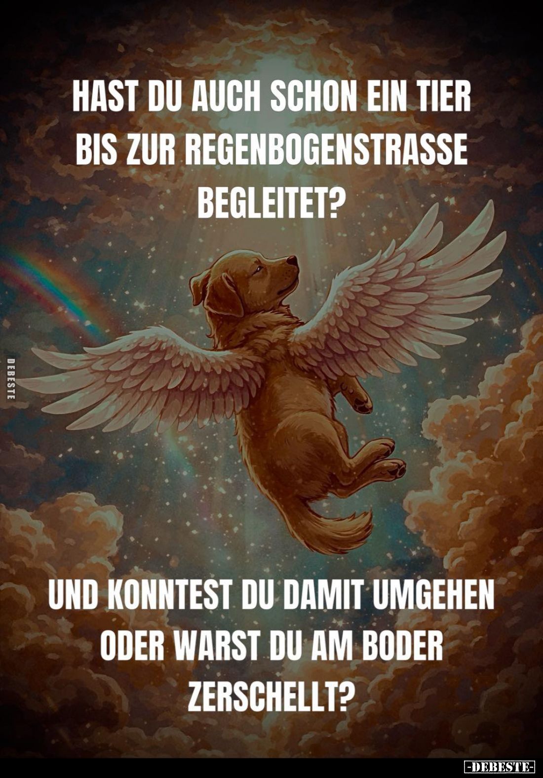 Hast du auch schon ein Tier bis zur Regenbogenstrasse begleitet?
Und konntest du damit umgehen oder warst du am Boder zersch...