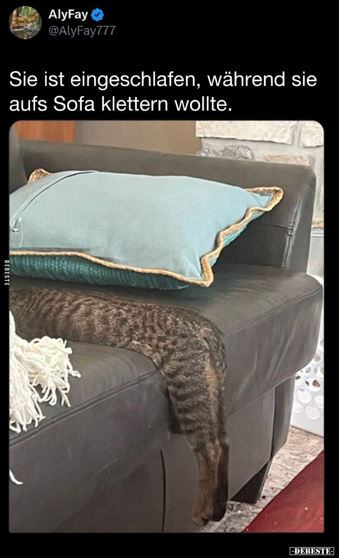 Sie ist eingeschlafen, während sie aufs Sofa klettern wollte.