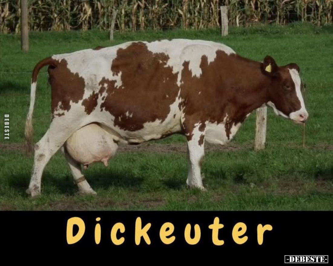 Dickeuter