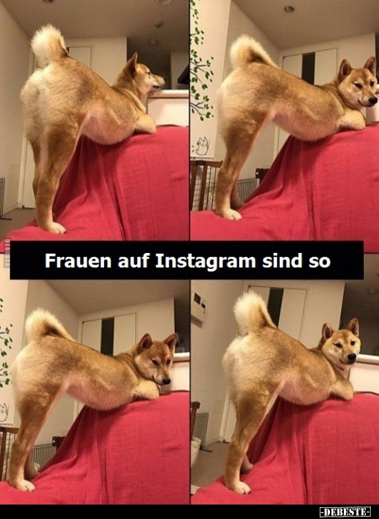 Frauen auf Instagram sind so..