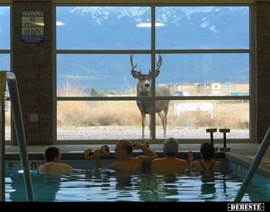  - Lustige Bilder | DEBESTE.de