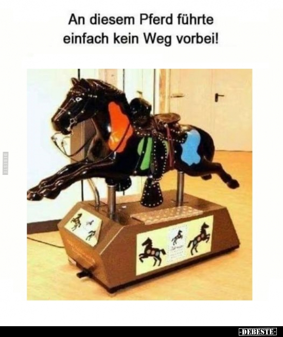 An diesem Pferd führte einfach kein Weg vorbei!.. - Lustige Bilder | DEBESTE.de