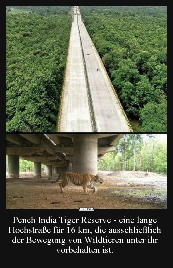 Pench India Tiger Reserve - eine lange Hochstraße für 16.. - Lustige Bilder | DEBESTE.de