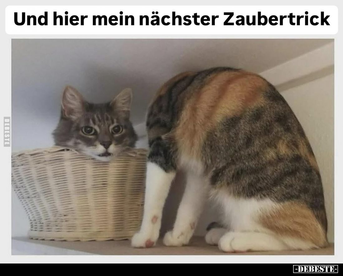 Und hier mein nächster Zaubertrick