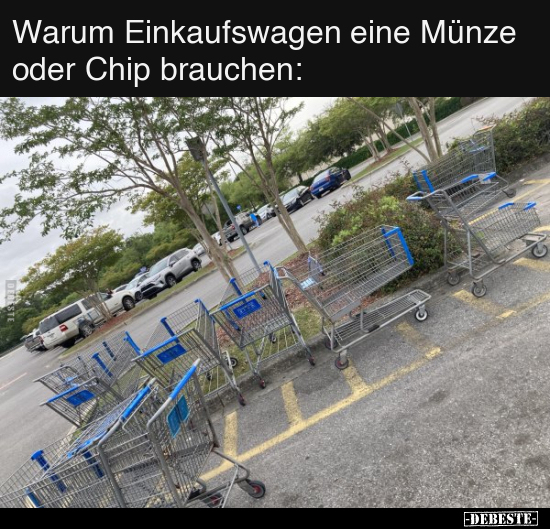Warum Einkaufswagen eine Münze oder Chip brauchen.. - Lustige Bilder | DEBESTE.de