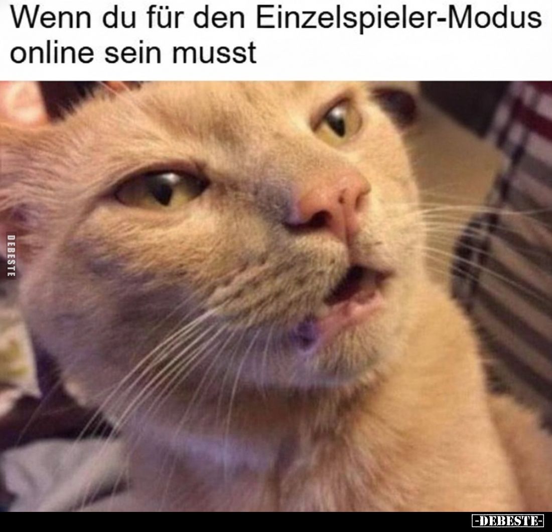 Wenn du für den Einzelspieler-Modus online sein musst