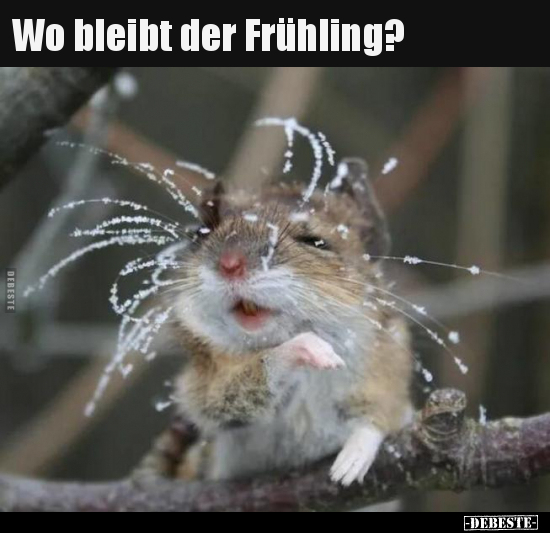 Wo bleibt der Frühling?..