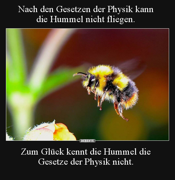 Nach den Gesetzen der Physik kann die Hummel nicht.. - Lustige Bilder | DEBESTE.de