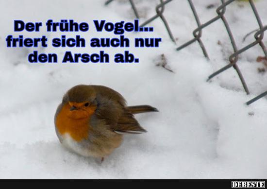 Der frühe Vogel.. - Lustige Bilder | DEBESTE.de