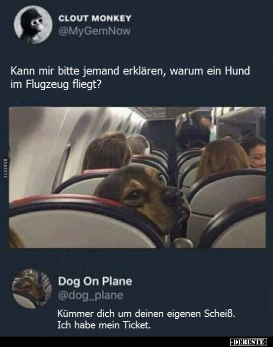 Kann mir bitte jemand erklären, warum ein Hund im Flugzeug.. - Lustige Bilder | DEBESTE.de