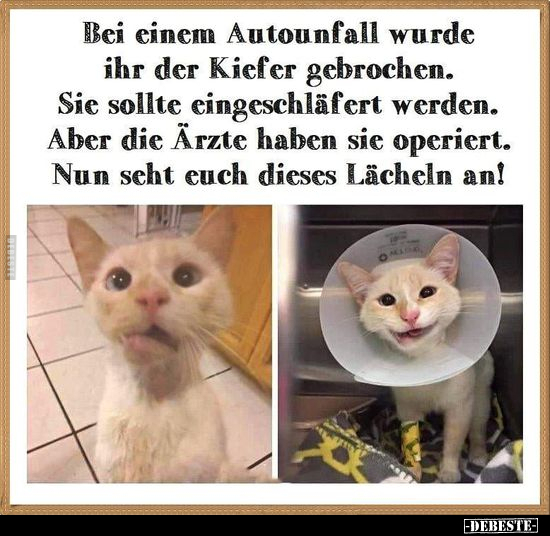 Bei einem Autounfall wurde ihr der Kiefer gebrochen... - Lustige Bilder | DEBESTE.de