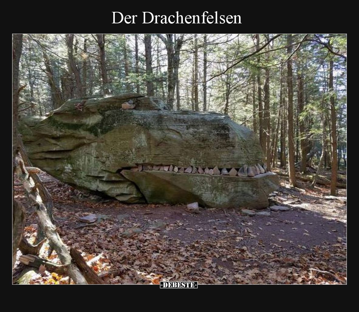 Der Drachenfelsen
