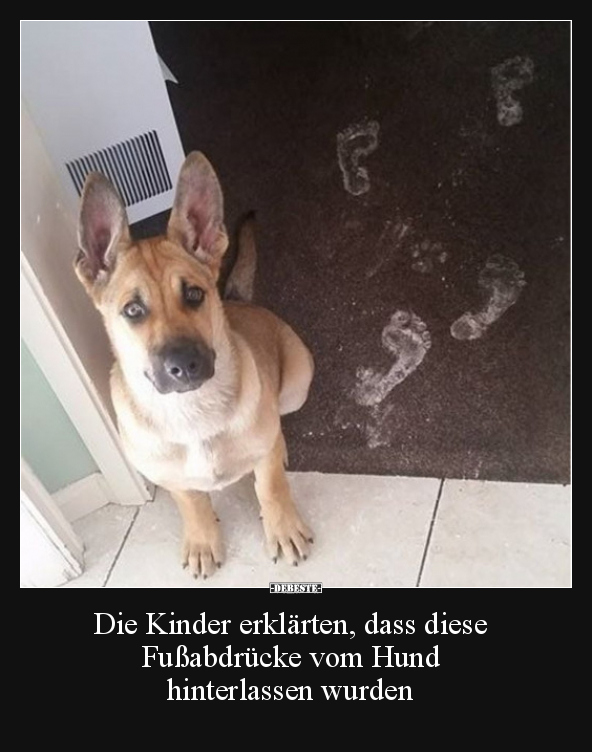 Die Kinder erklärten, dass diese Fußabdrücke vom Hund.. - Lustige Bilder | DEBESTE.de