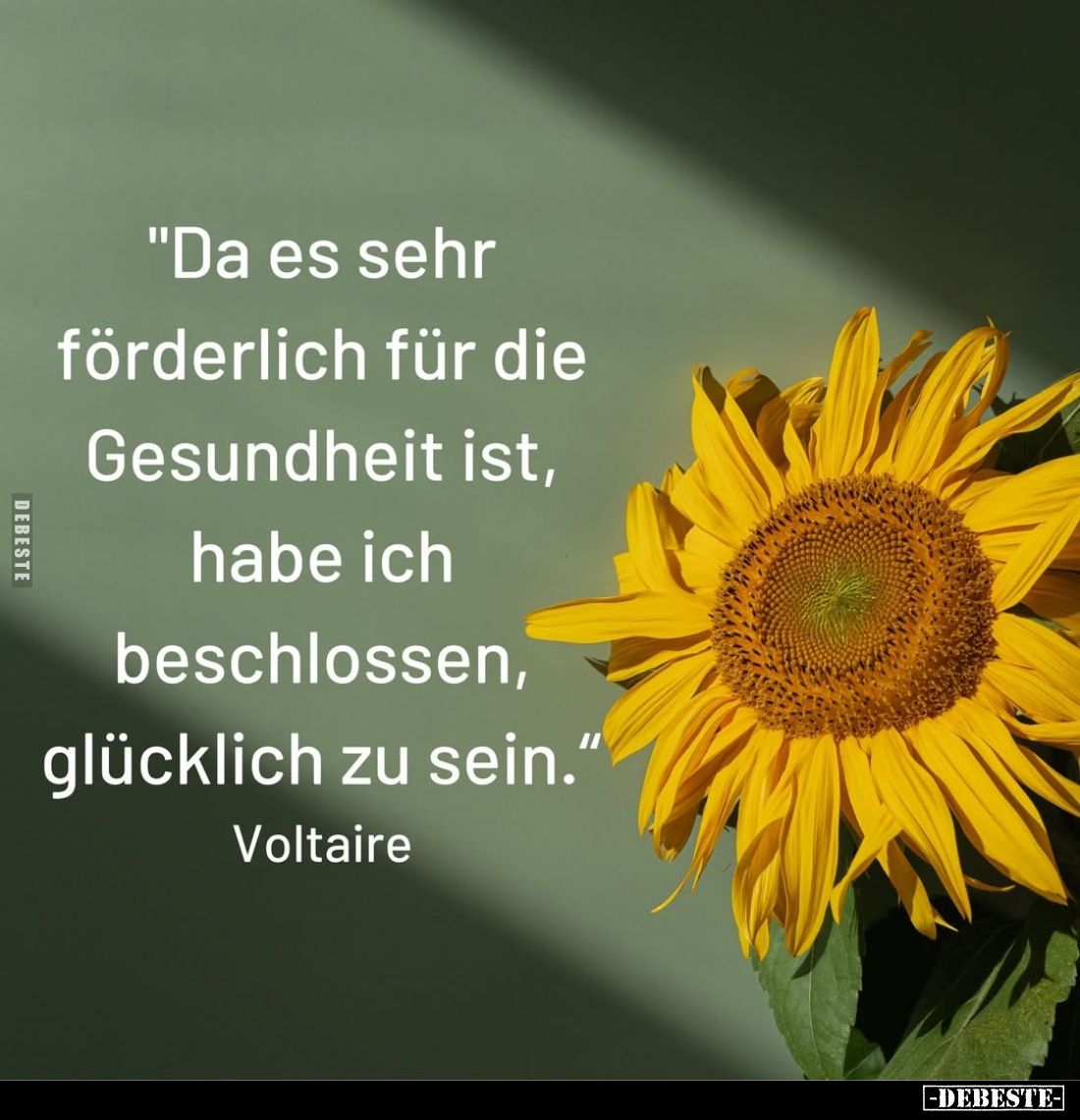 Da es sehr förderlich für die Gesundheit ist, habe ich beschlossen, glücklich zu sein.
