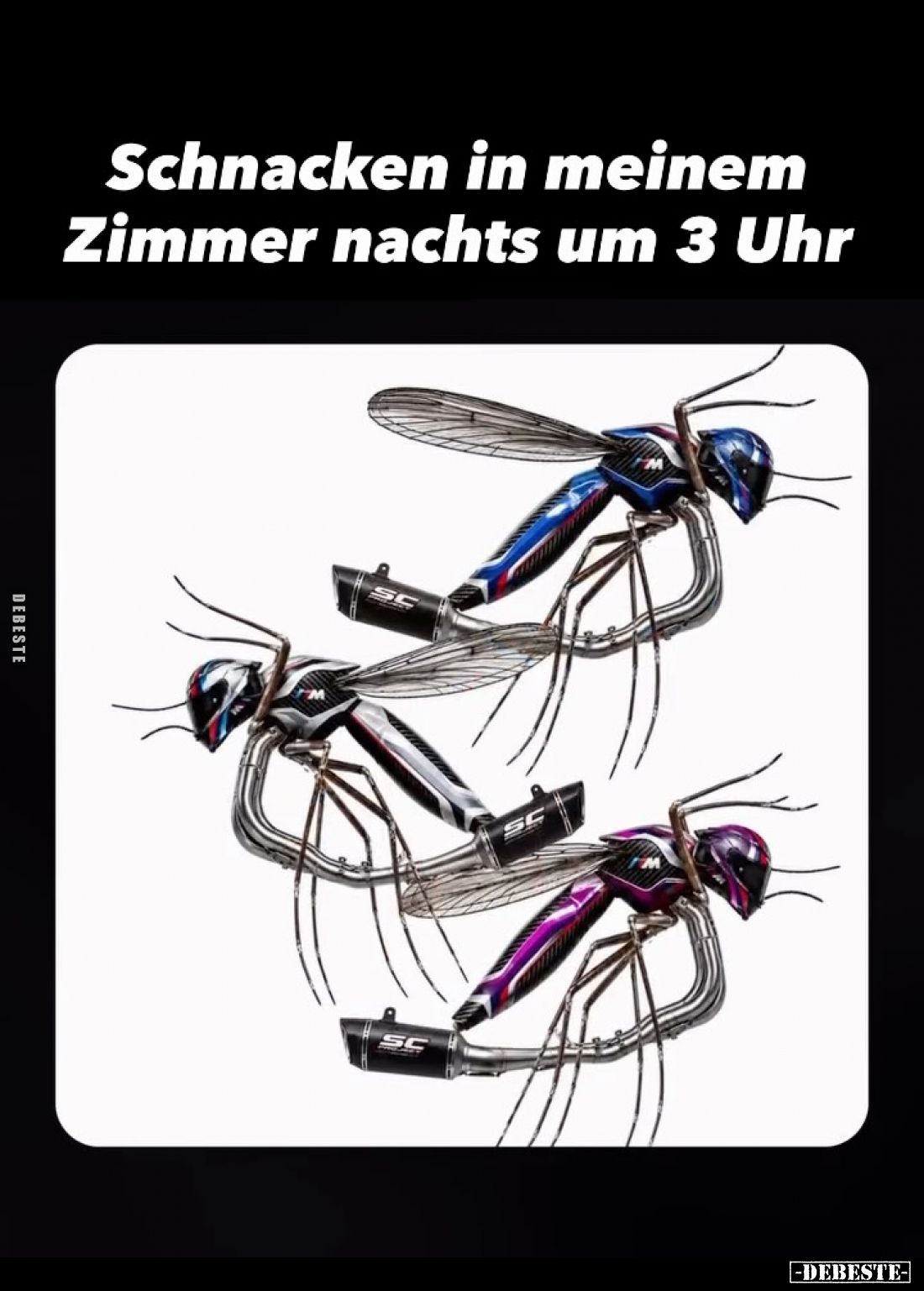 Schnacken in meinem Zimmer nachts um 3 Uhr.