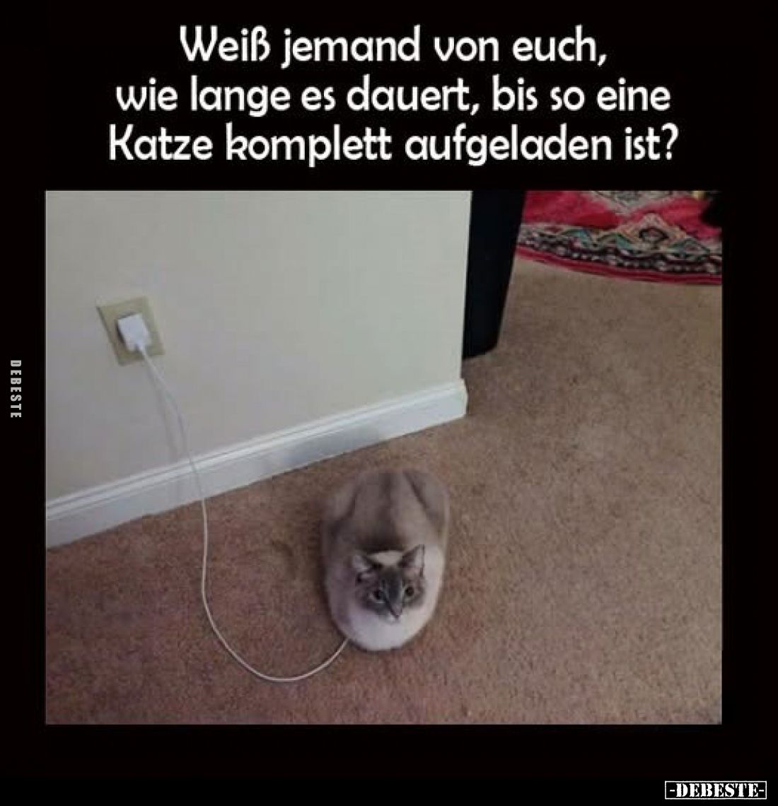 Weiß jemand von euch, wie lange es dauert, bis so eine Katze komplett aufgeladen ist?