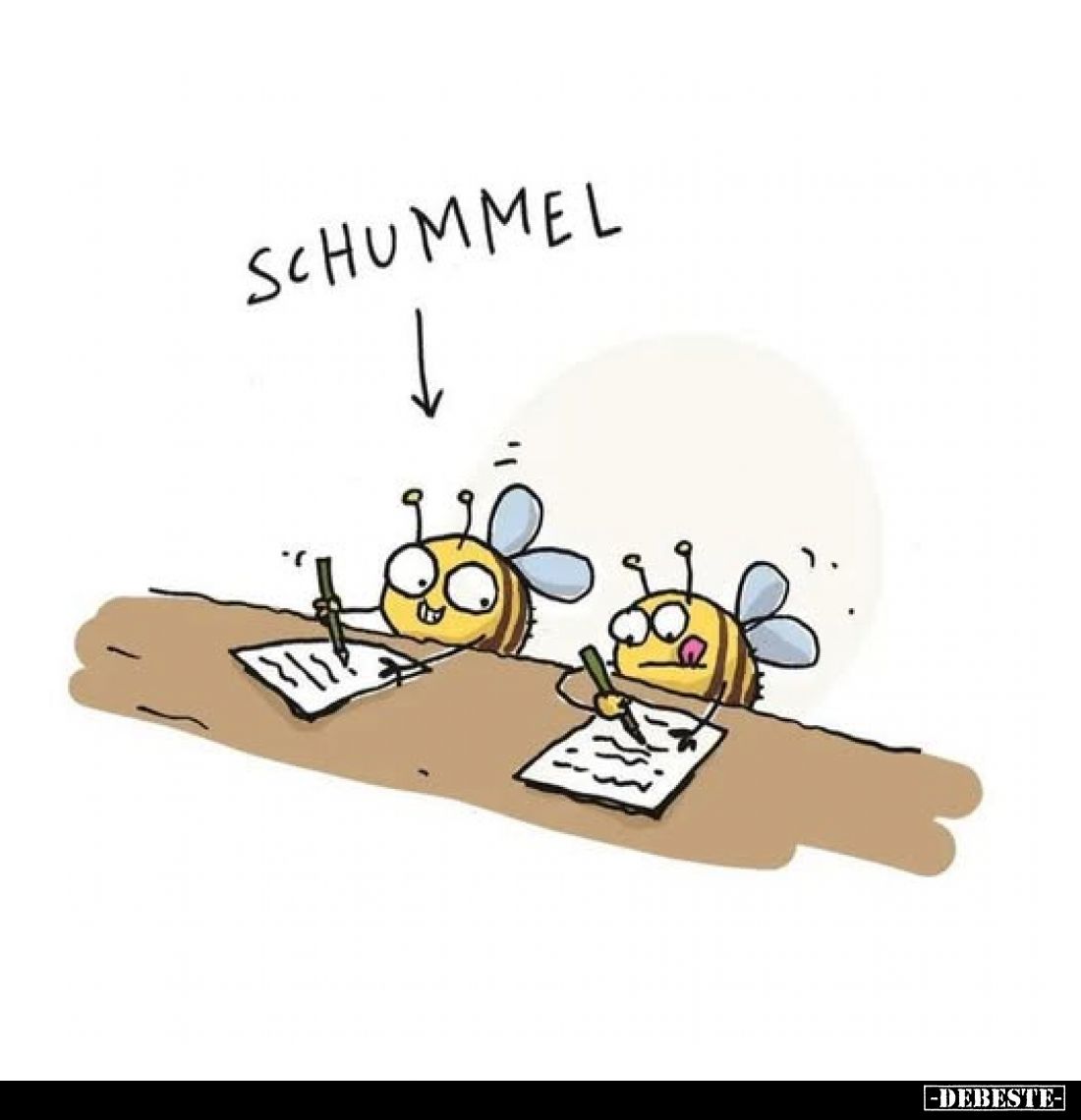 SCHUMMEL