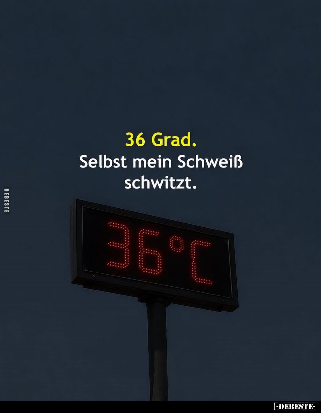 36 Grad. Selbst mein Schweiß schwitzt.. - Lustige Bilder | DEBESTE.de