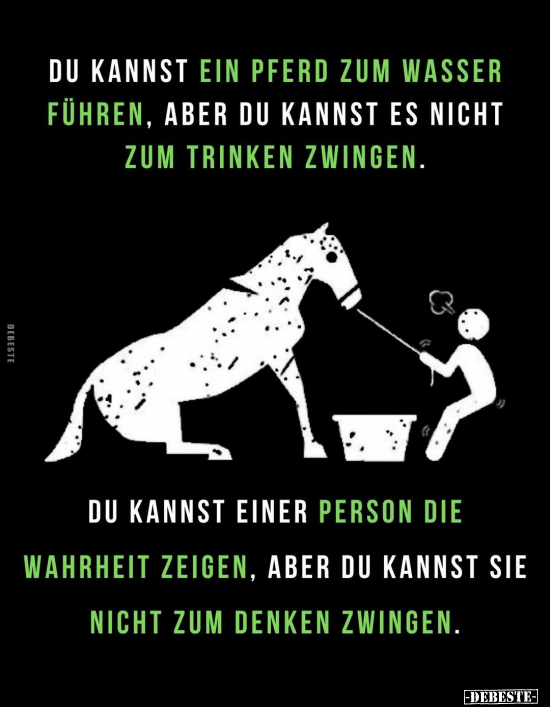 Du kannst ein Pferd zum Wasser führen.. - Lustige Bilder | DEBESTE.de