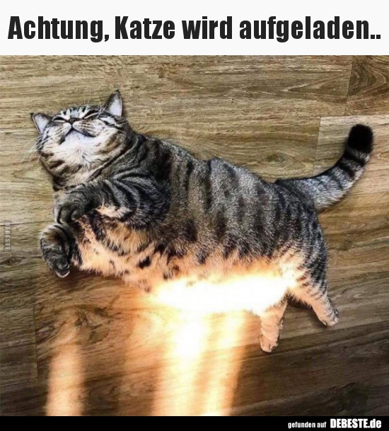 Achtung, Katze wird aufgeladen..