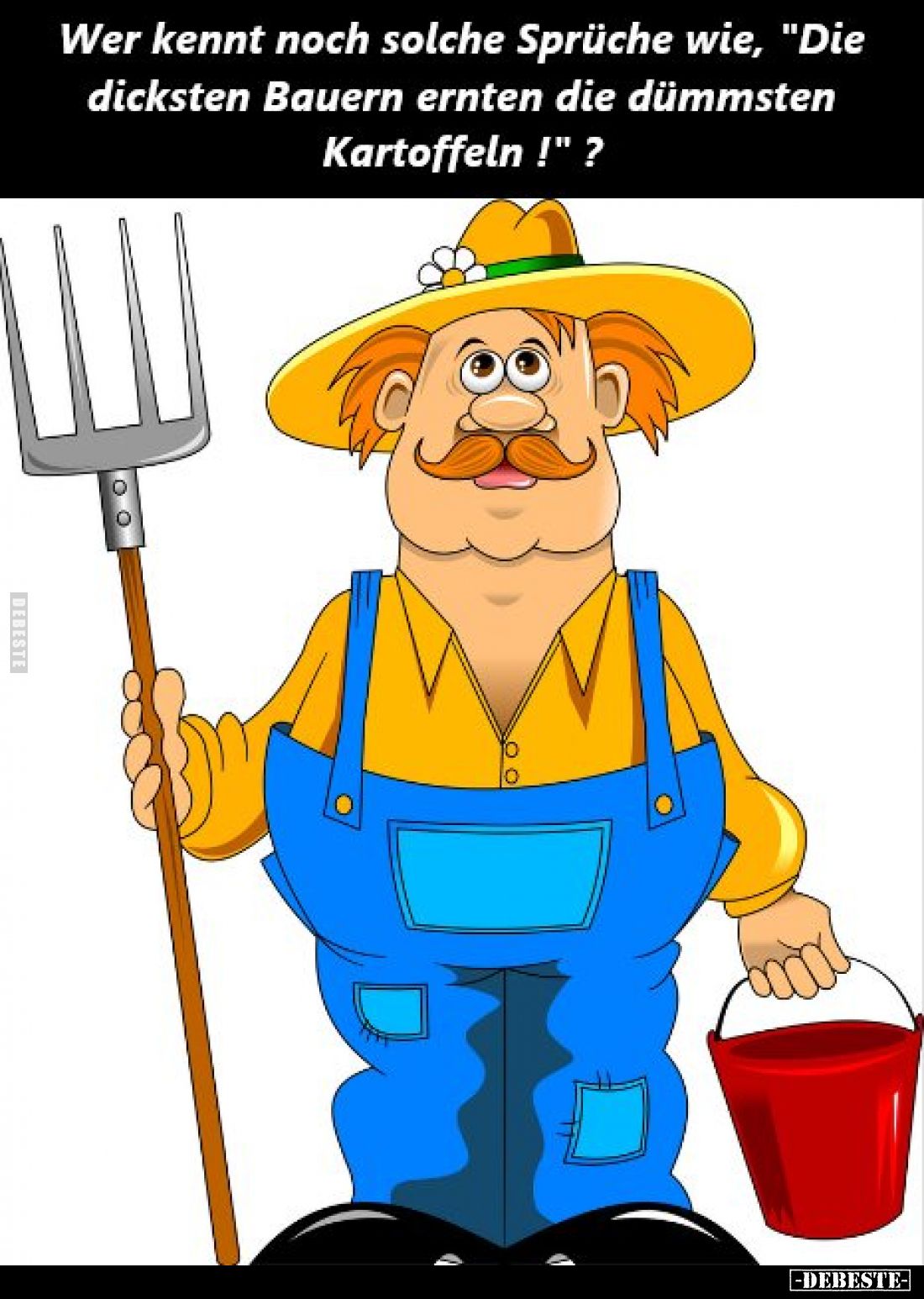 Wer kennt noch solche Sprüche wie, "Die dicksten Bauern ernten die dümmsten Kartoffeln !"?