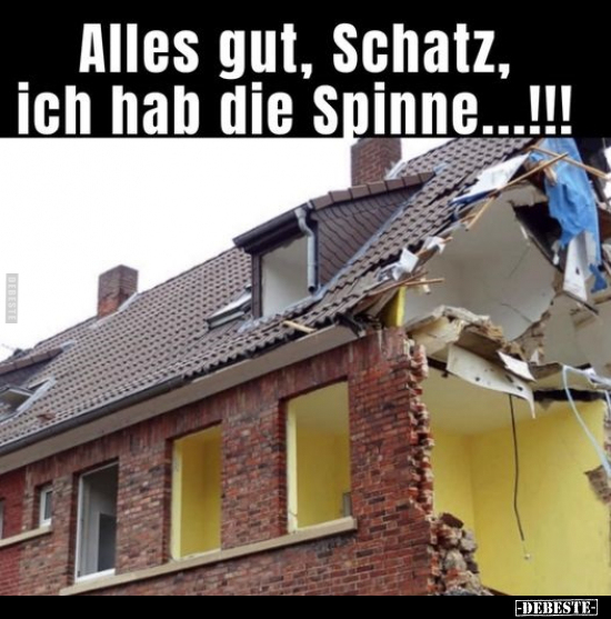 Alles gut, Schatz, ich hab die Spinne...!!.. - Lustige Bilder | DEBESTE.de