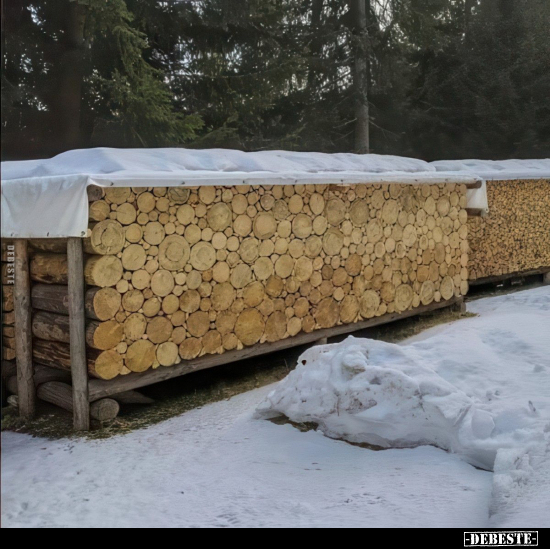  - Lustige Bilder | DEBESTE.de