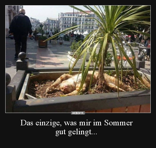 Das einzige, was mir im Sommer gut gelingt..