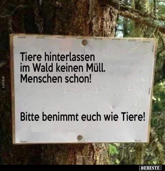 Tiere hinterlassen im Wald keinen Müll Menschen schon!.. - Lustige Bilder | DEBESTE.de