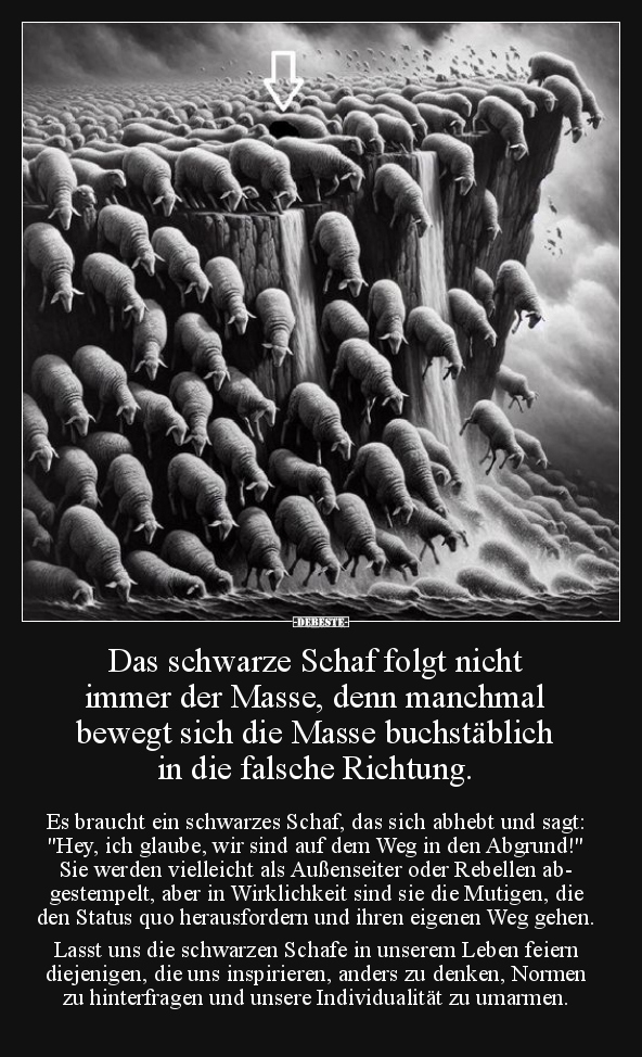 Das schwarze Schaf folgt nicht immer der Masse.. - Lustige Bilder | DEBESTE.de