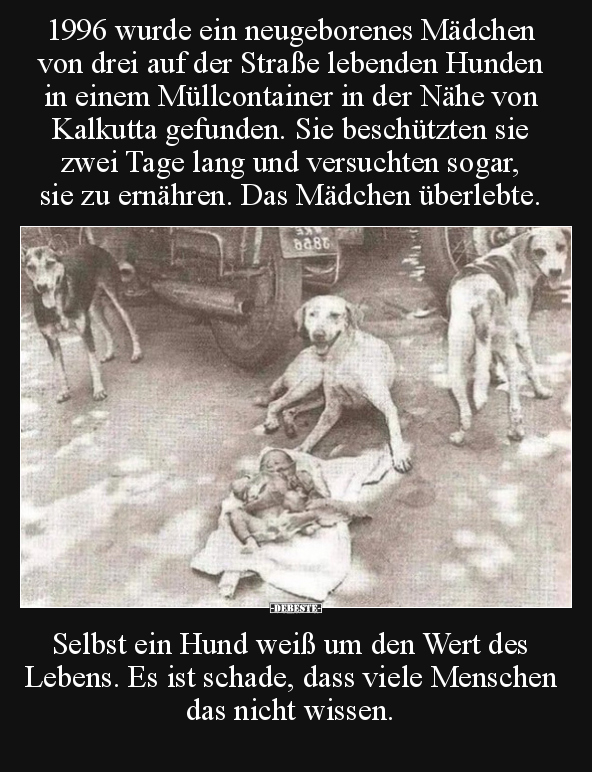 1996 wurde ein neugeborenes Mädchen von drei auf der Straße.. - Lustige Bilder | DEBESTE.de