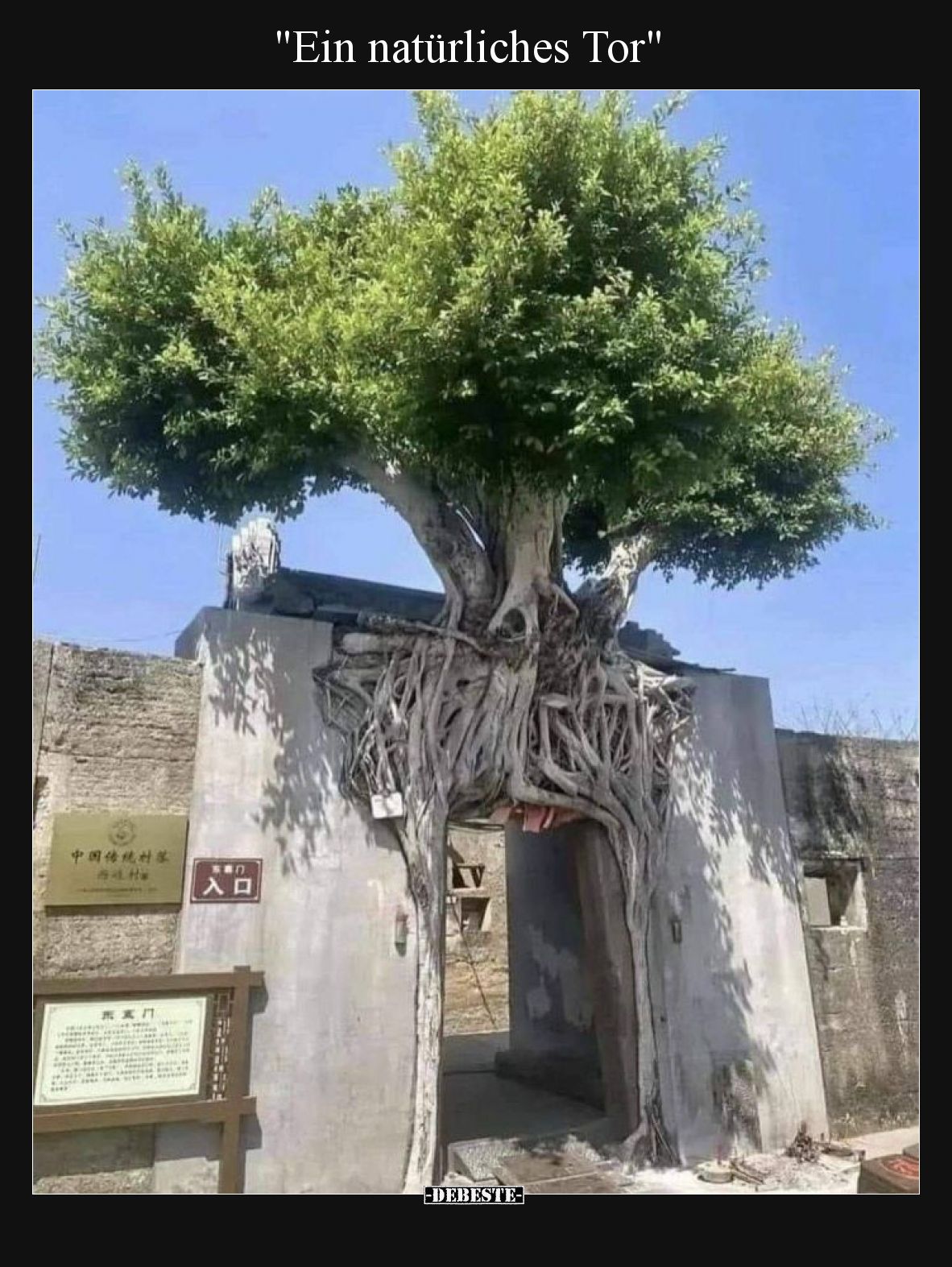 "Ein natürliches Tor"