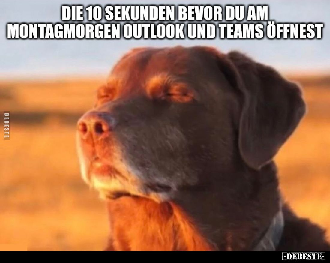 Die 10 Sekunden, bevor du am Montagmorgen Outlook und Teams öffnest.