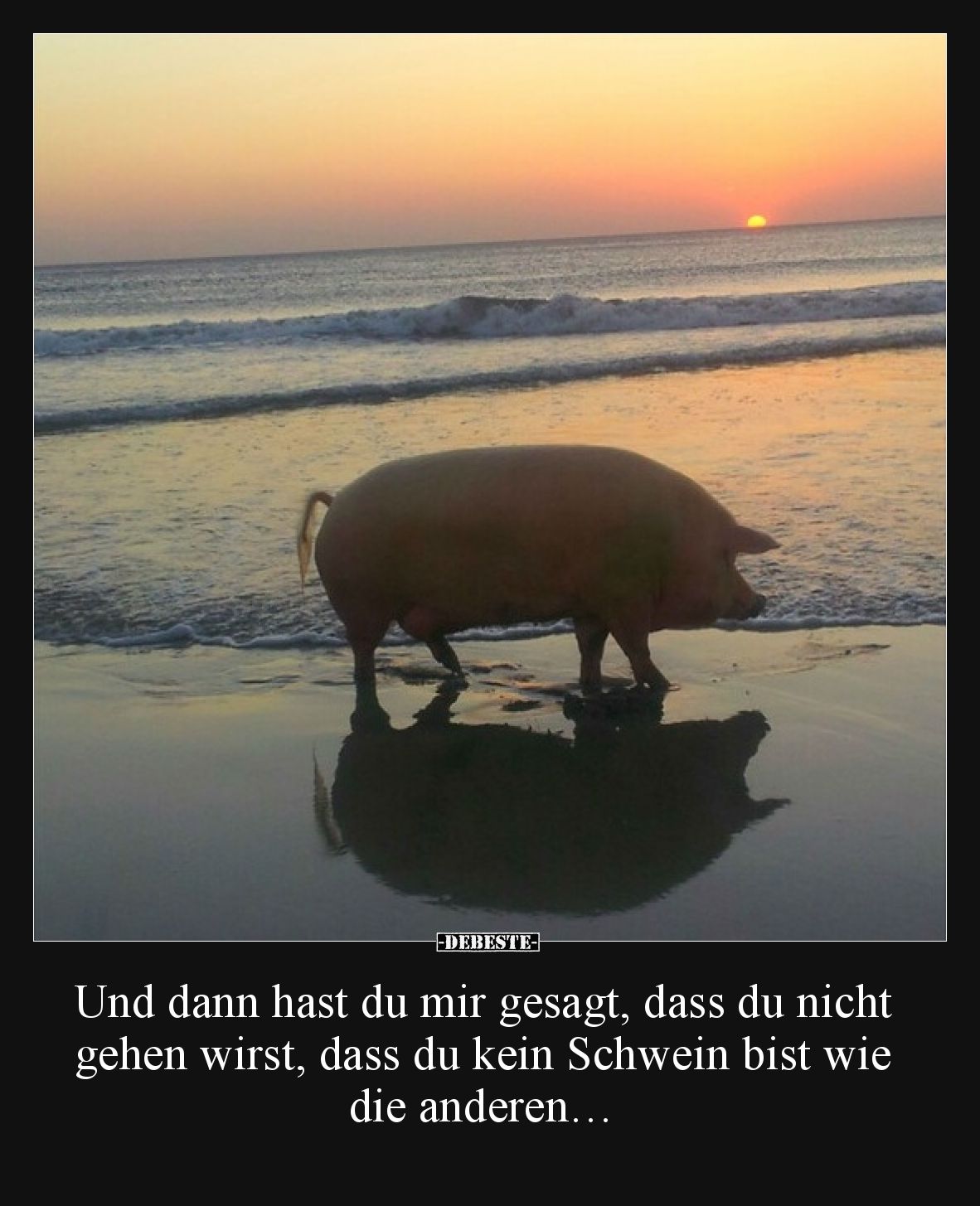 Und dann hast du mir gesagt, dass du nicht gehen wirst, dass du kein Schwein bist wie die anderen…