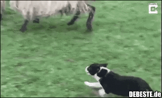 Klein aber überzeugend..