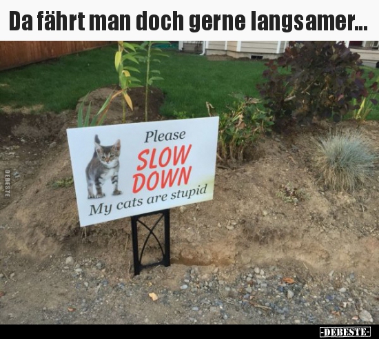 Da fährt man doch gerne langsamer...