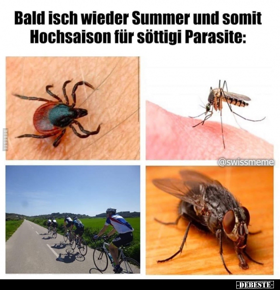 Bald isch wieder Summer und somit Hochsaison für söttigi.. - Lustige Bilder | DEBESTE.de