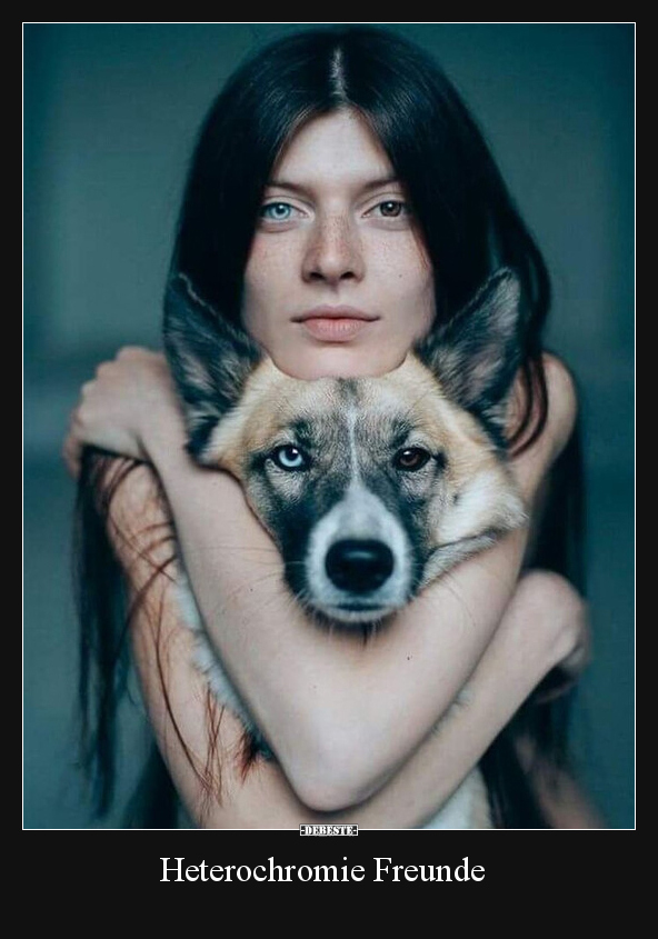 Heterochromie Freunde.. - Lustige Bilder | DEBESTE.de