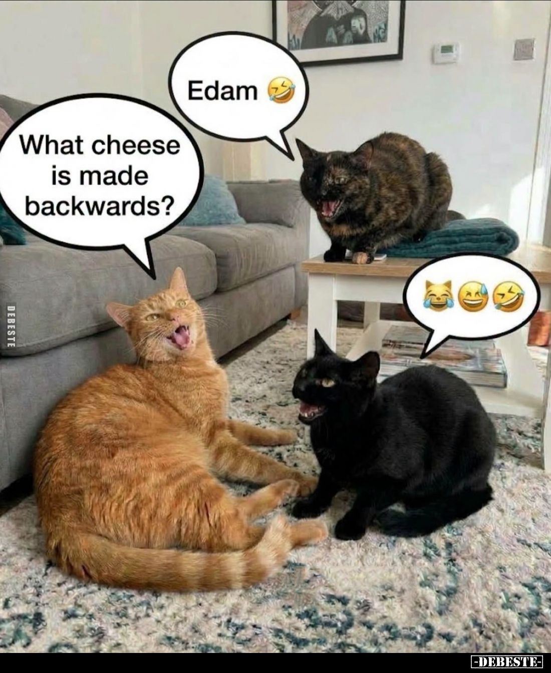 What cheese is made backwards?
- Edam.