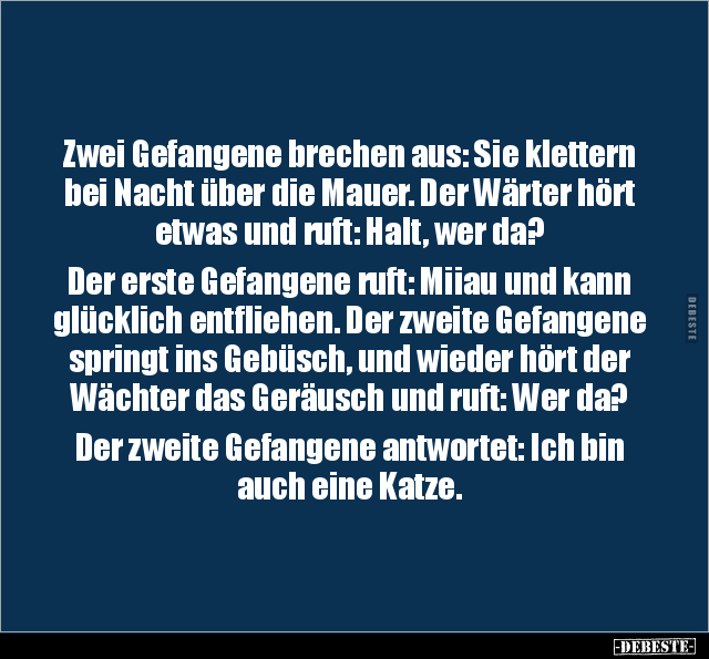 Zwei Gefangene brechen aus: Sie klettern bei Nacht über.. - Lustige Bilder | DEBESTE.de