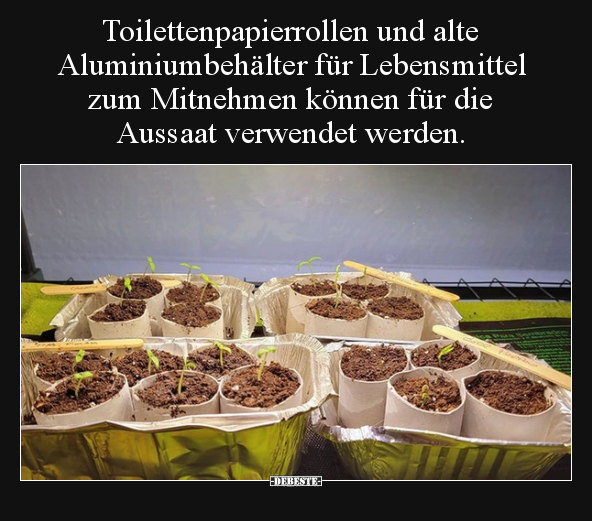 Toilettenpapierrollen und alte Aluminiumbehälter für.. - Lustige Bilder | DEBESTE.de
