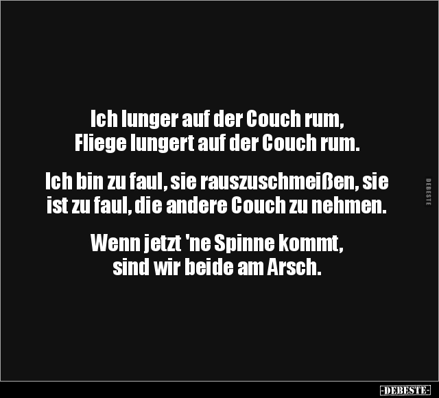 Ich lunger auf der Couch rum, Fliege lungert auf der Couch.. - Lustige Bilder | DEBESTE.de