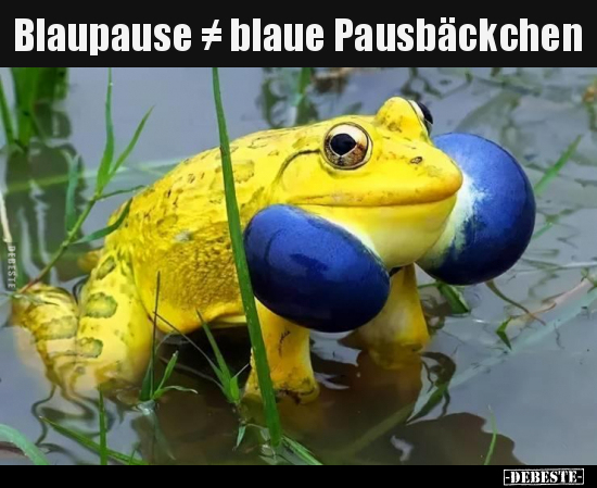 Blaupause ≠ blaue Pausbäckchen..