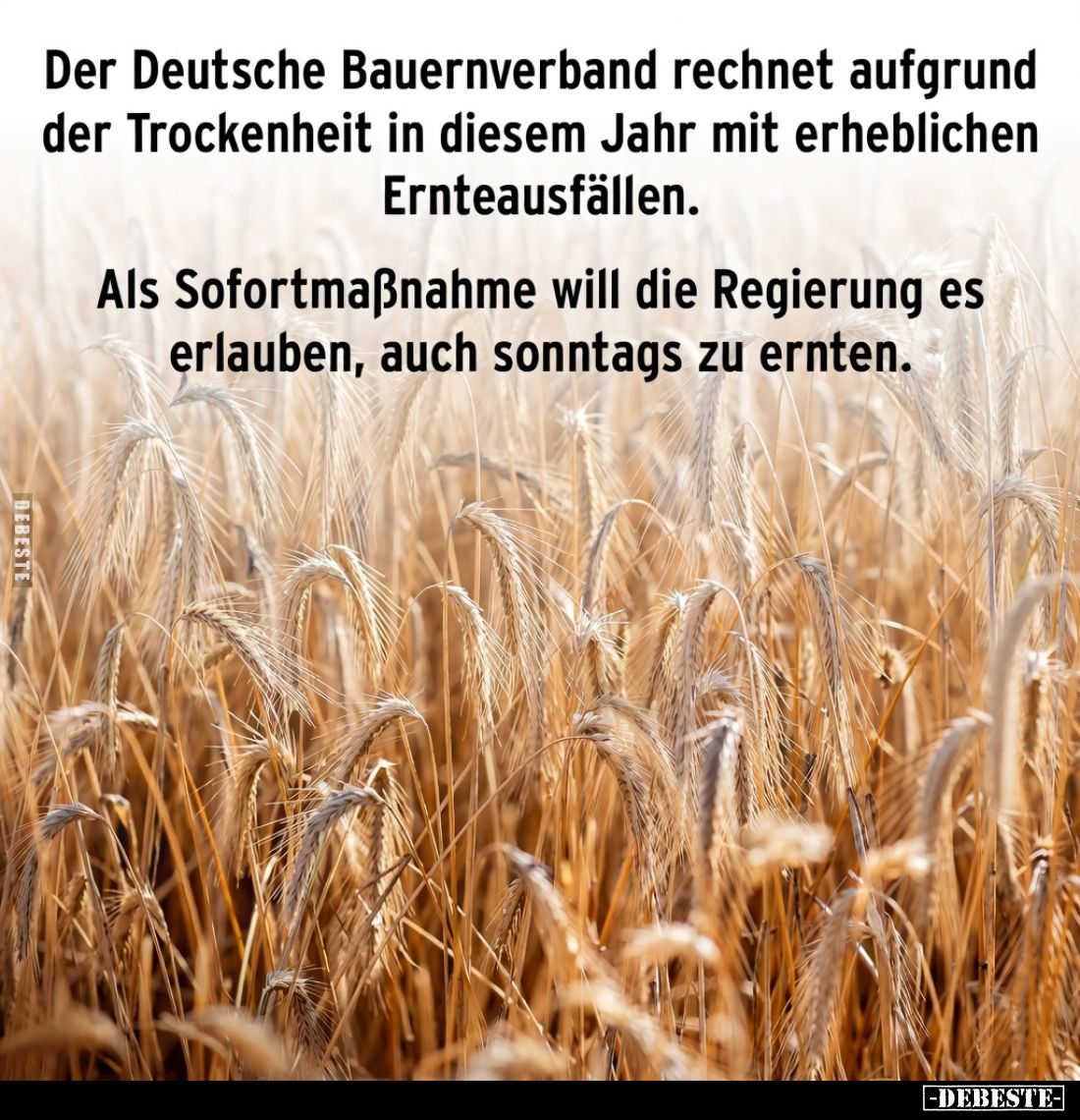 Der Deutsche Bauernverband rechnet aufgrund der Trockenheit in diesem Jahr mit erheblichen Ernteausfällen.

Als Sofortmaßna...